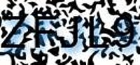 grafischer Sicherheitscode