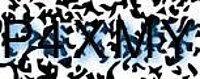 grafischer Sicherheitscode