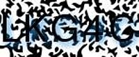 grafischer Sicherheitscode