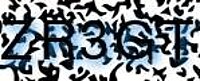 grafischer Sicherheitscode