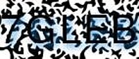 grafischer Sicherheitscode
