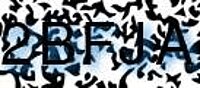 grafischer Sicherheitscode