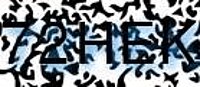 grafischer Sicherheitscode