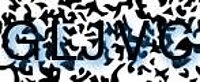 grafischer Sicherheitscode